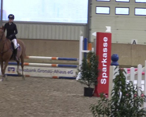 Reitturnier Ahaus 2022