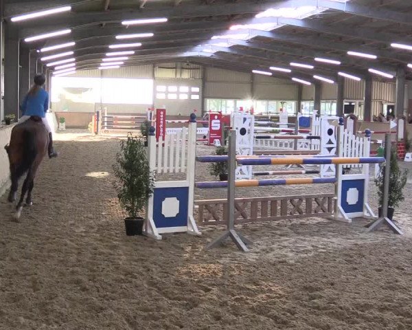 Reitturnier Ahaus 2022