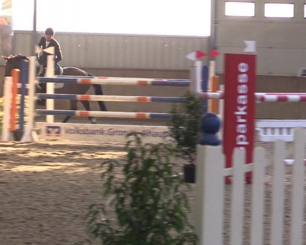Reitturnier Ahaus 2022