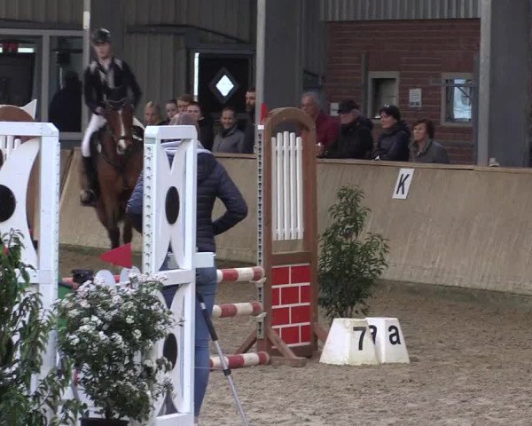 Reitturnier Ahaus 2022