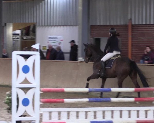 Reitturnier Ahaus 2022