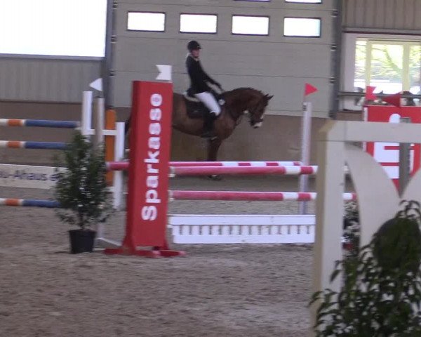 Reitturnier Ahaus 2022