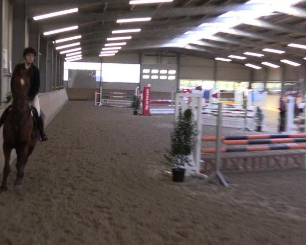 Reitturnier Ahaus 2022