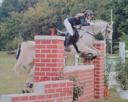 jumper Parnas 3 (Polish Warmblood, 2001, from Plaster)