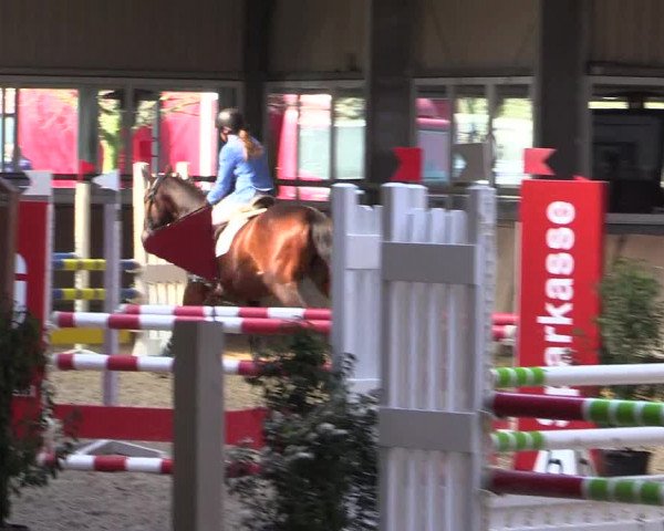 Reitturnier Ahaus 2022