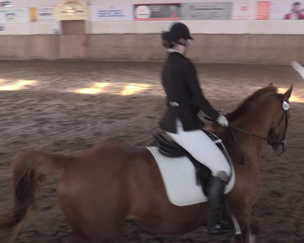 Reitturnier Bobersen 2022