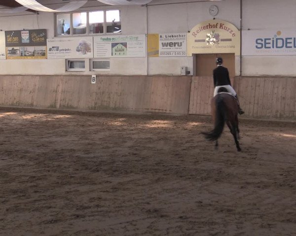 Reitturnier Bobersen 2022