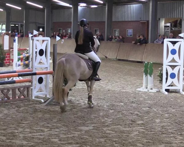 Reitturnier Ahaus 2022