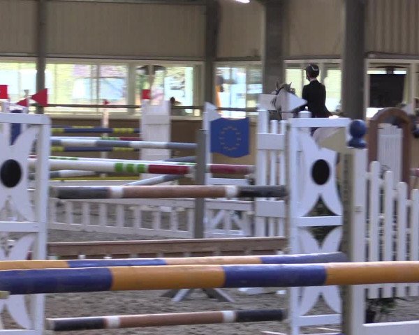 Reitturnier Ahaus 2022
