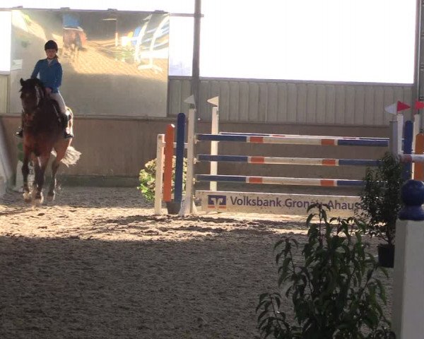 Reitturnier Ahaus 2022