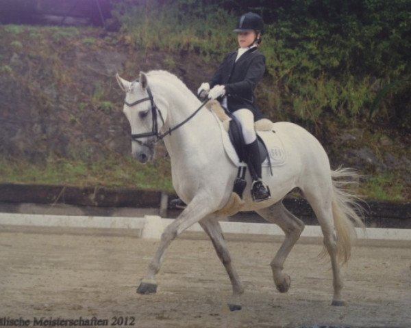 dressage horse Leon 576 (Westphalian, 2002, from Landilot)