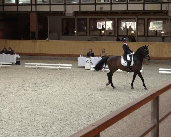 Reitturnier Hamburg-Friedrichshulde/Sylva Kuhrt 2022