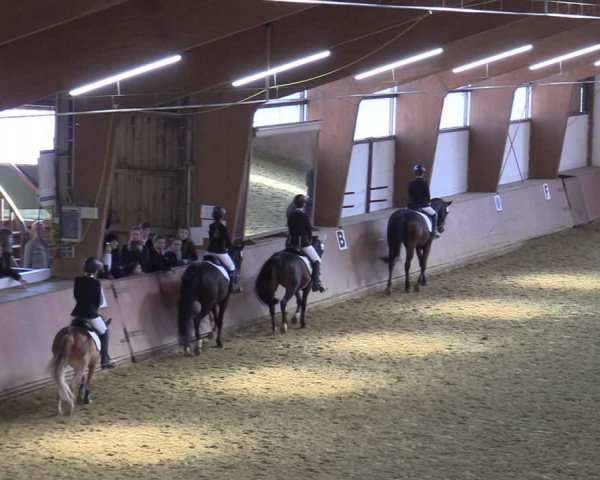 Reitturnier Bad Salzuflen 2022