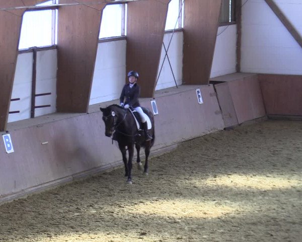 Reitturnier Bad Salzuflen 2022