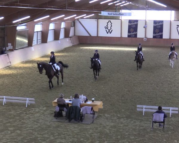 Reitturnier Bad Salzuflen 2022