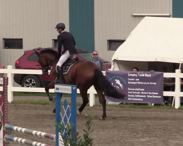 Springturnier Mildstedt 2021