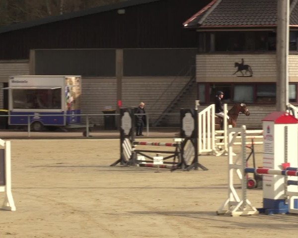 Reitturnier Olfen-Vinnum 2022