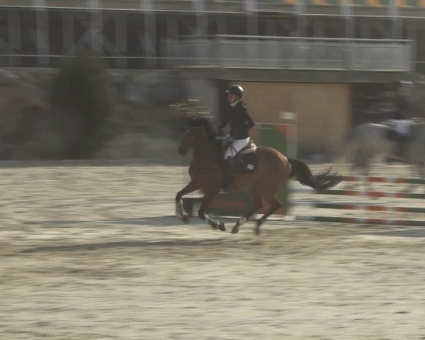 Reitturnier K, St. Margarethen-Stückler 2022