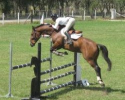 jumper Copabella Voltage (ISSA Cob (Australia), 2008, from Copabella Visage)