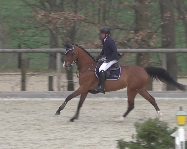 Reitturnier Erkrath - Uhlenhof 2022