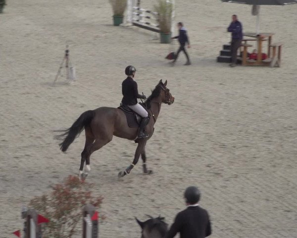 Reitturnier Erkrath - Uhlenhof 2022
