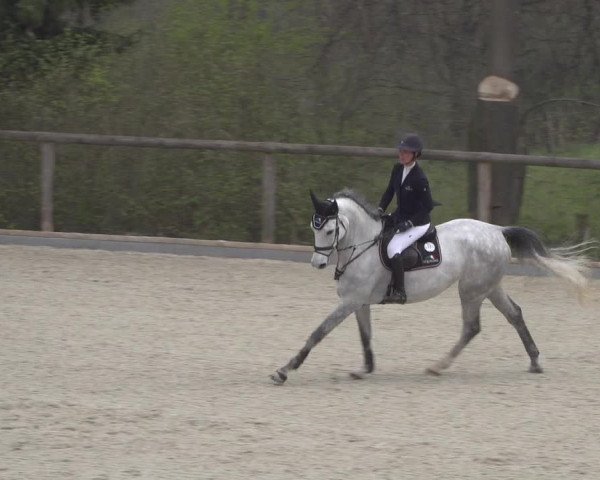 Reitturnier Erkrath - Uhlenhof 2022