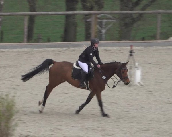 Reitturnier Erkrath - Uhlenhof 2022