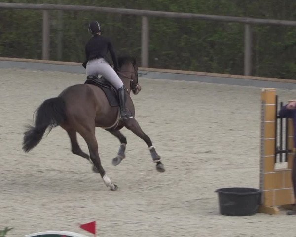 Reitturnier Erkrath - Uhlenhof 2022