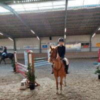 jumper Jax (Dutch Pony m.arab.Blutant., 2003, from Elegant)