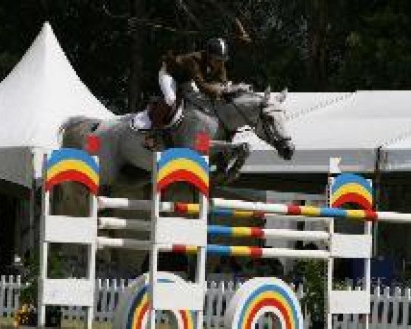 broodmare Courchevel (Trakehner, 2012, from Silvermoon) broodmare Courchevel (Trakehner, 2012, from Silvermoon)