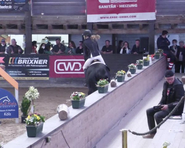 Reitturnier Heilbronn 2022