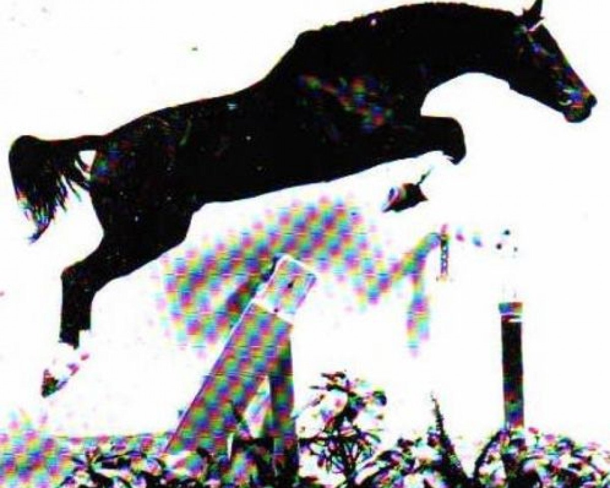 stallion Laudon (Hanoverian, 1976, from Lukas)
