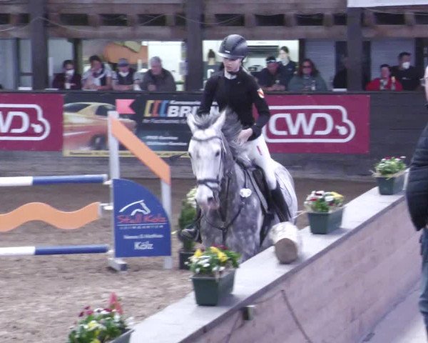 Reitturnier Heilbronn 2022