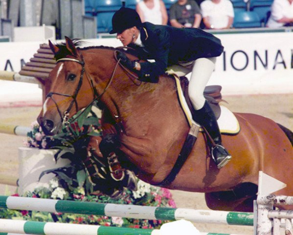 horse Lordon (Holsteiner, 1985, from Lord)
