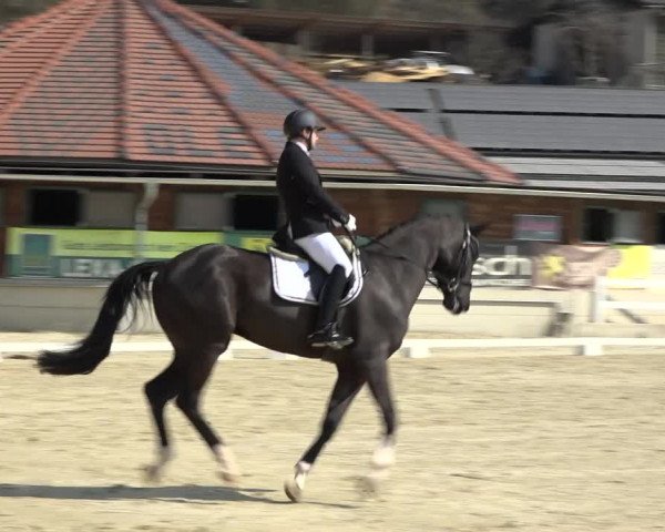 Reitturnier K, St. Margarethen-Stückler 2022