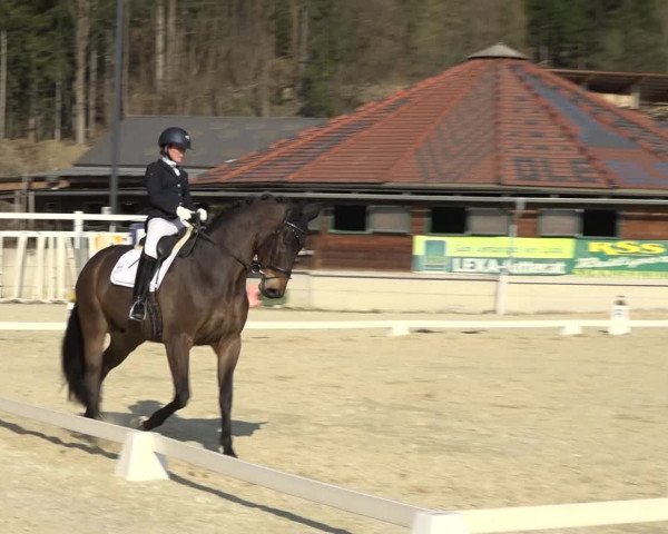 Reitturnier K, St. Margarethen-Stückler 2022