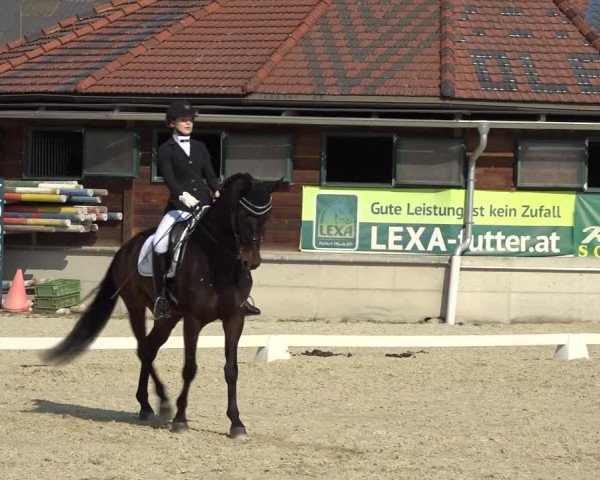 Reitturnier K, St. Margarethen-Stückler 2022