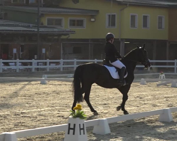 Reitturnier K, St. Margarethen-Stückler 2022
