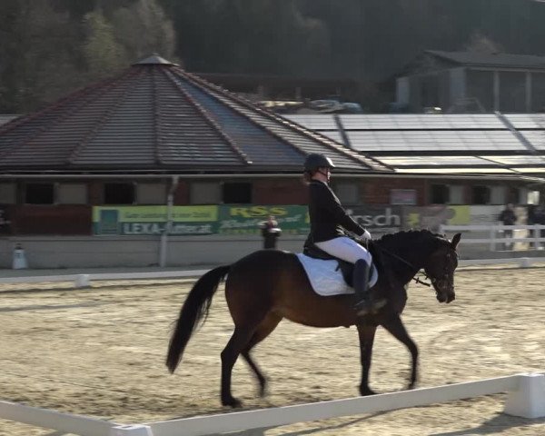 Reitturnier K, St. Margarethen-Stückler 2022