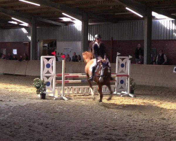 Reitturnier Ahaus 2022