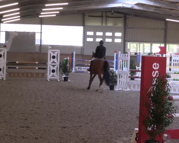 Reitturnier Ahaus 2022