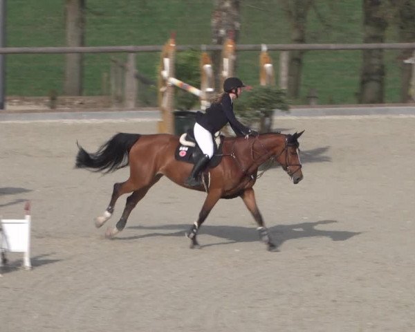Reitturnier Erkrath - Uhlenhof 2022