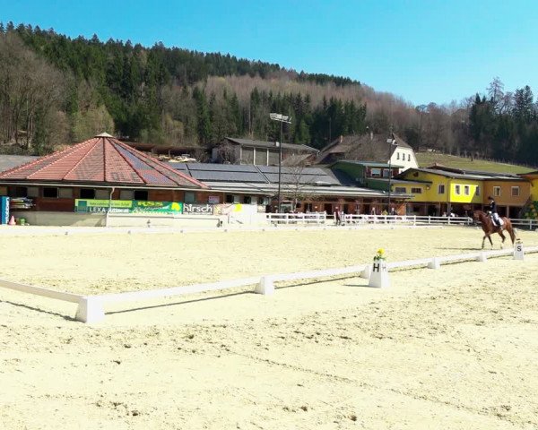 Reitturnier K, St. Margarethen-Stückler 2022