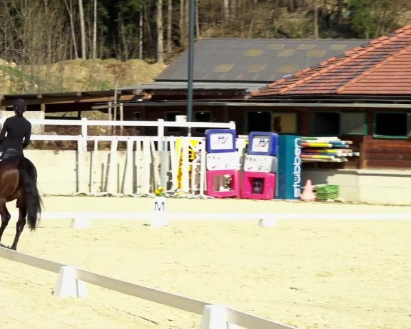Reitturnier K, St. Margarethen-Stückler 2022