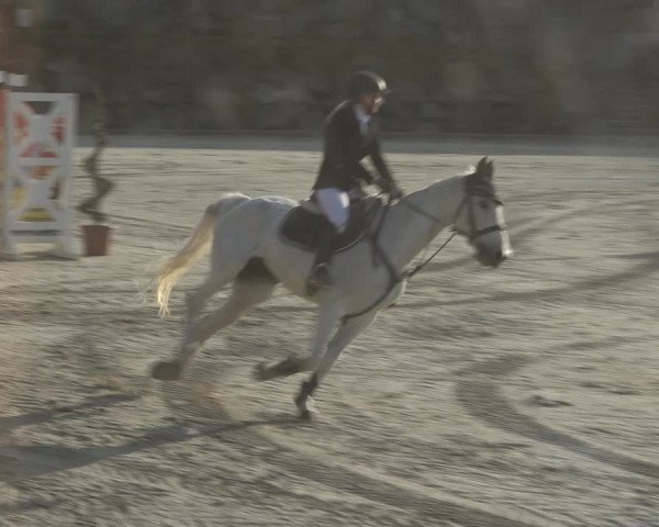 Reitturnier K, St. Margarethen-Stückler 2022