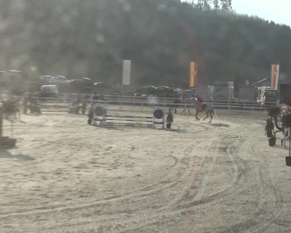Reitturnier K, St. Margarethen-Stückler 2022