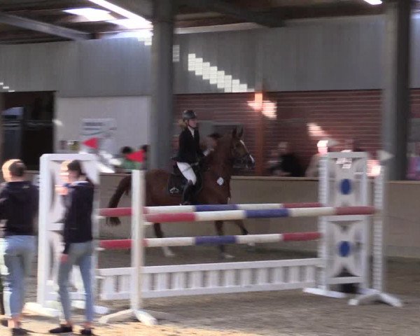 Reitturnier Ahaus 2022