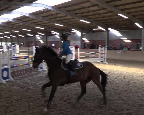 Reitturnier Ahaus 2022