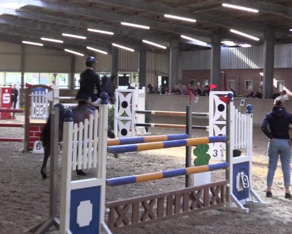 Reitturnier Ahaus 2022