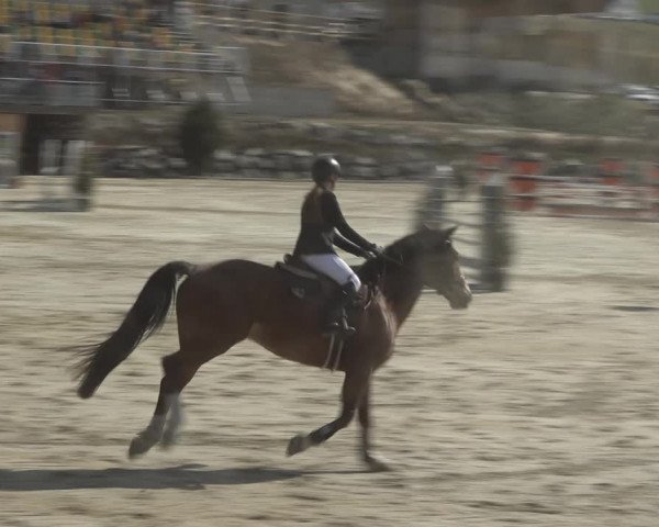 Reitturnier K, St. Margarethen-Stückler 2022